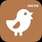 AnimalSound - English study