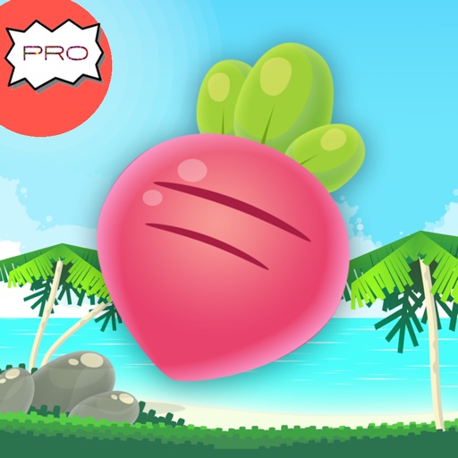 Fruit Splash Island Pro icon