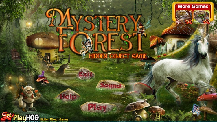 Mystery Forest Hidden Objects