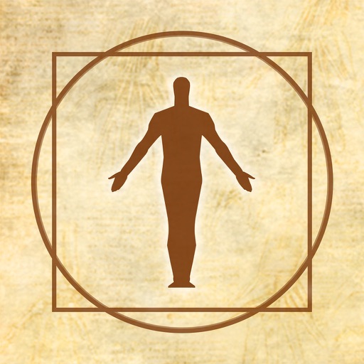 Figure Anatomy Icon