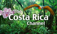The Costa Rica Channel  PC 용