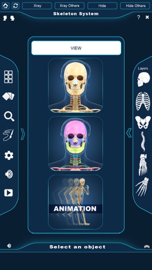 My Skeleton Anatomy