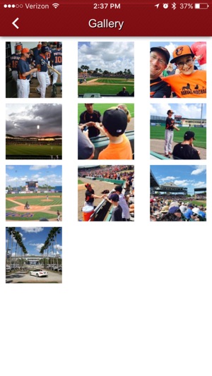 Florida Grapefruit League(圖5)-速報App