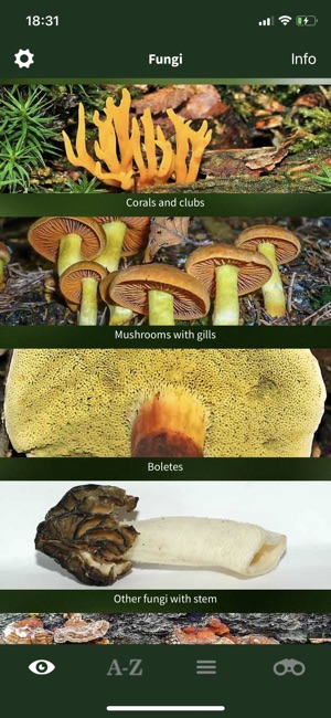 Mushroom Guide British Isles(圖2)-速報App