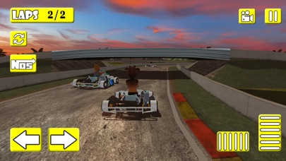 Mad Animal Karting Simulator screenshot 4