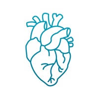 Anatomio - анатомия человека PC 용