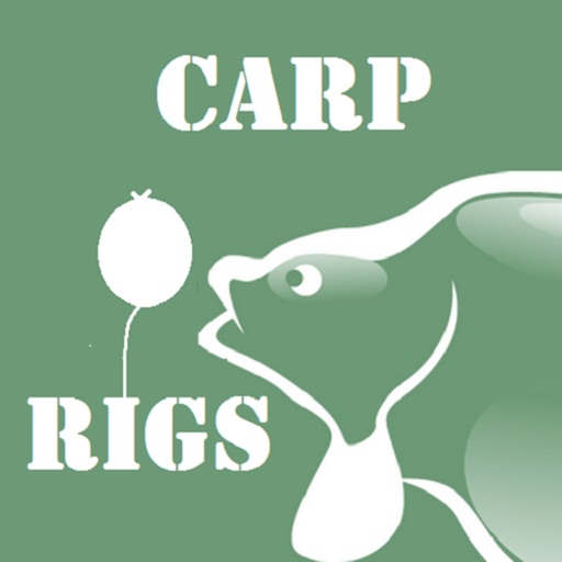 Carp Fishing Rigs HD