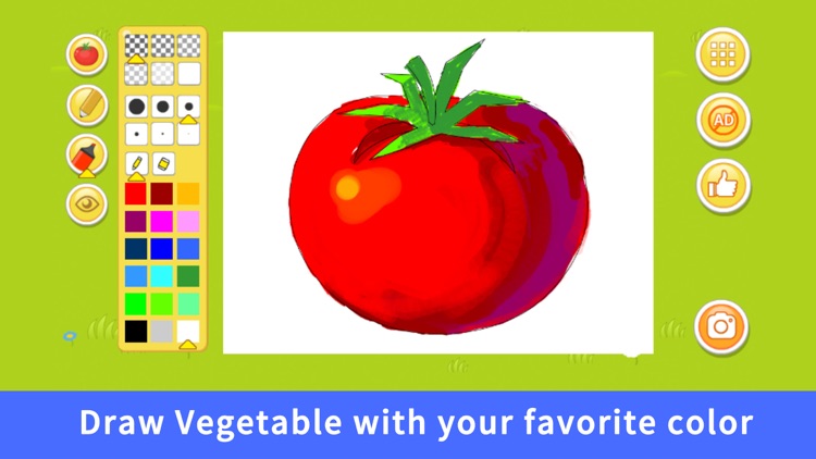 Draw And Learn Vegetables screenshot-3