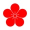 Mume Red is a VPN client which implements custom proxies with the leverage of Network Extension framework introduced by Apple since iOS 9, allowing custom rules and checking request logs