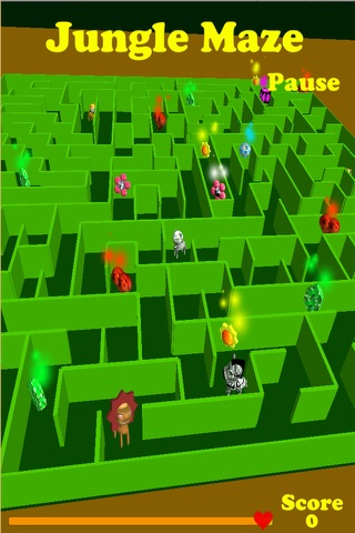 Jungle Maze - náhled