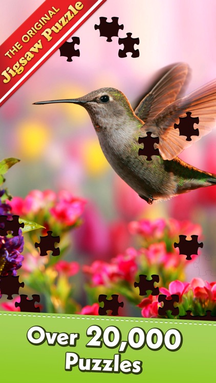 Jigsaw Puzzle