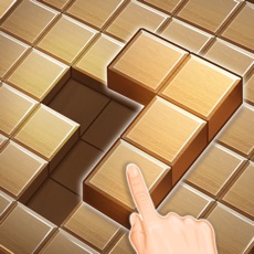 Activities of Wood Block Puzzle Game