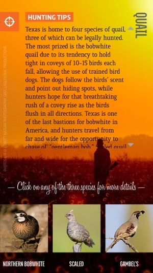 TX Parks & Wildlife magazine(圖5)-速報App