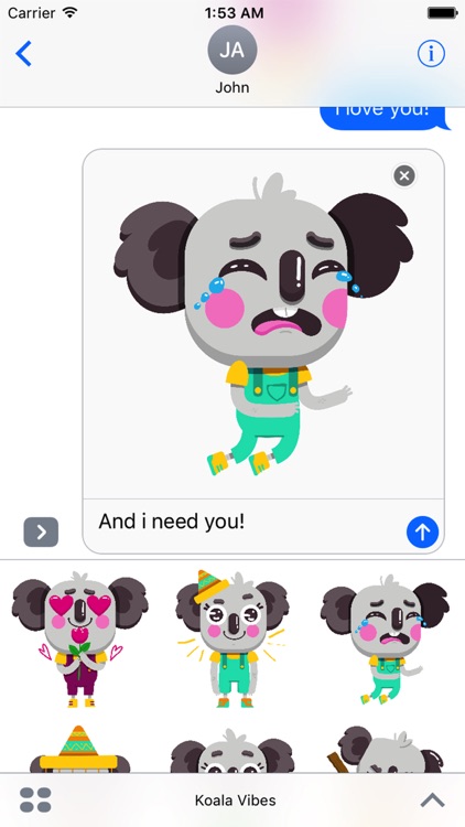 Cute Koala Vibes