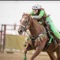 Thousands of barrel racers have started winning more and gaining confidence daily since putting World Champion Barrel Racer Fallon Taylor in their pocket for all of their training, tips, and drills