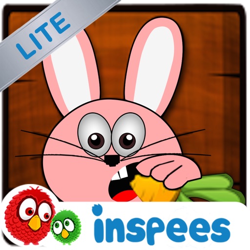 Ninja Rabbit HD Lite iOS App
