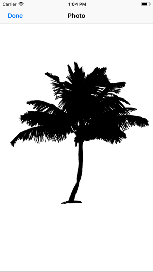 Palm Tree Stickers(圖3)-速報App