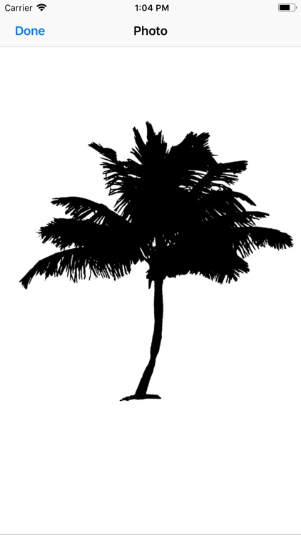 Palm Tree Stickers by Elizabeth Gemmell