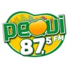 Pequi FM