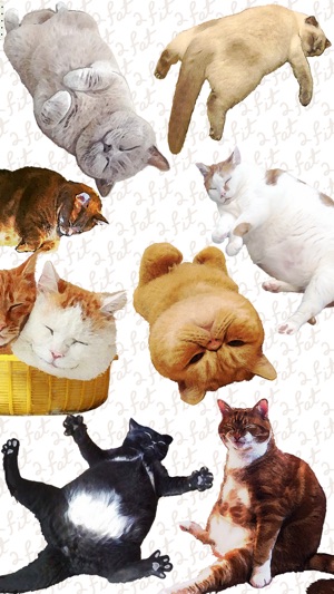 CatNap 2: Fat Cat Sticker Pack(圖4)-速報App