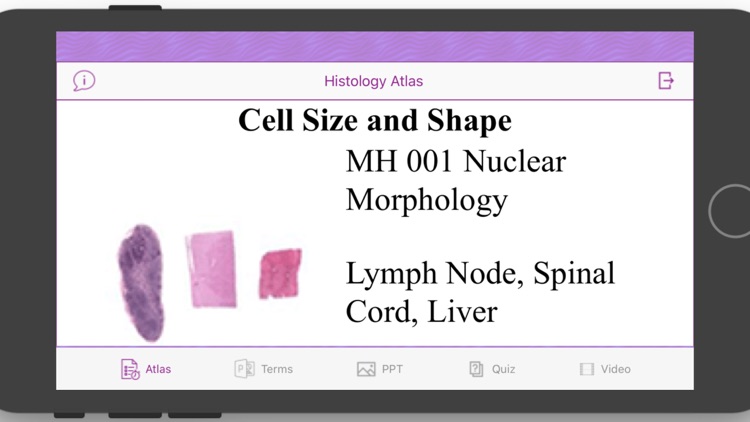 Histology Cell Tissue screenshot-6