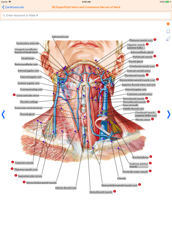 Netter's Anatomy Atlas 7eのおすすめ画像3