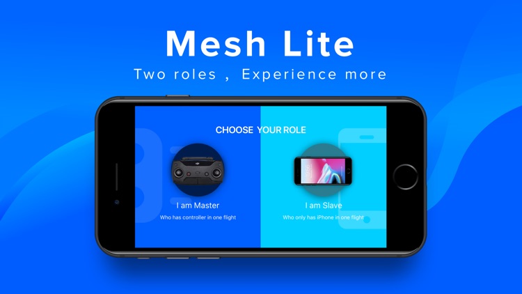 Mesh Lite - DJI Dual Flight
