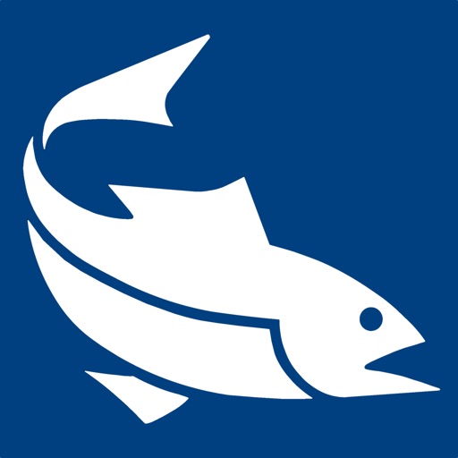 Fish iReports