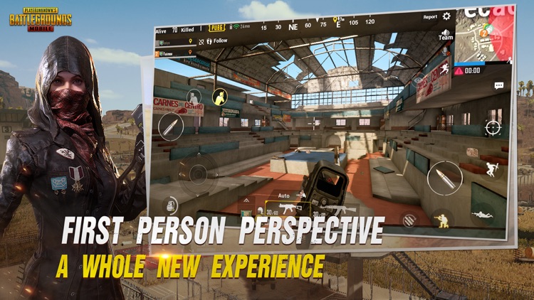 PUBG MOBILE screenshot-4