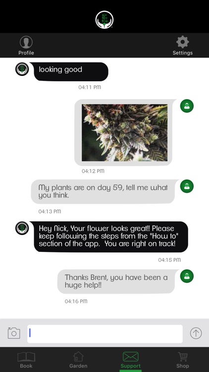 Three A Light screenshot-3