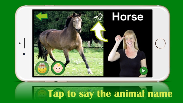 ASL Animals - Lite