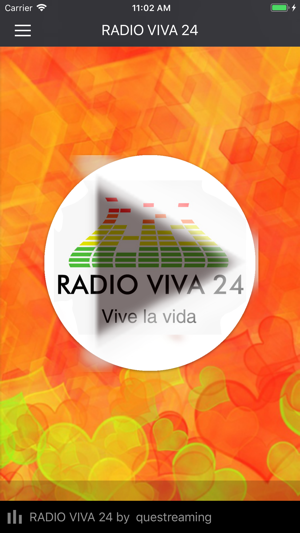 Radio Viva 24