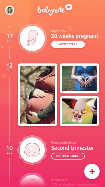 Babynote - Pregnancy Timeline
