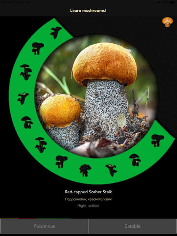 Learn Forest Mushrooms screenshot 3