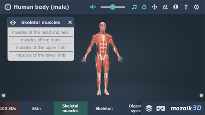Human body (male) 3D screenshot 2