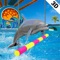 Water park dolphin game consists of five exciting levels