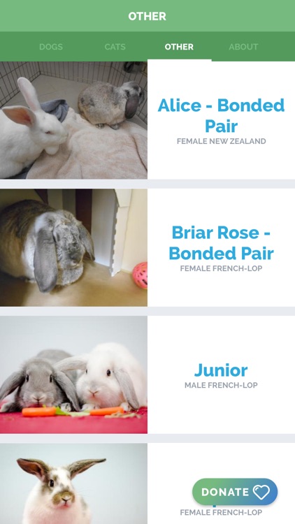 Arlington Pets screenshot-3
