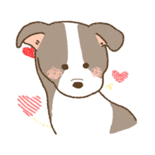 Italian Greyhound Dog Sticker iOS App