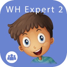 Activities of WH Expert 2