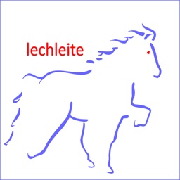 Islandpferde Lechleite