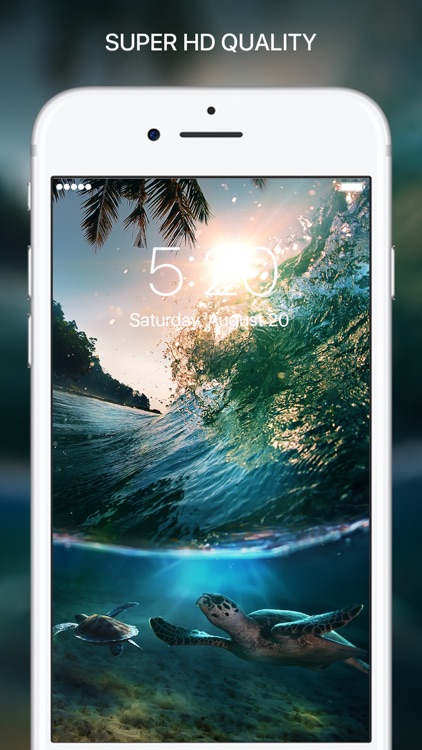Everpix HD Wallpapers - Cool Backgrounds & Themes