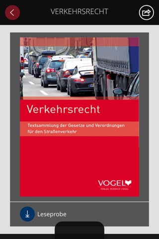 Recht und Straßenverkehr screenshot 2