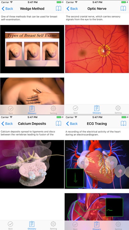 Anatomy, Physiology Quiz and Glossary for iPhone