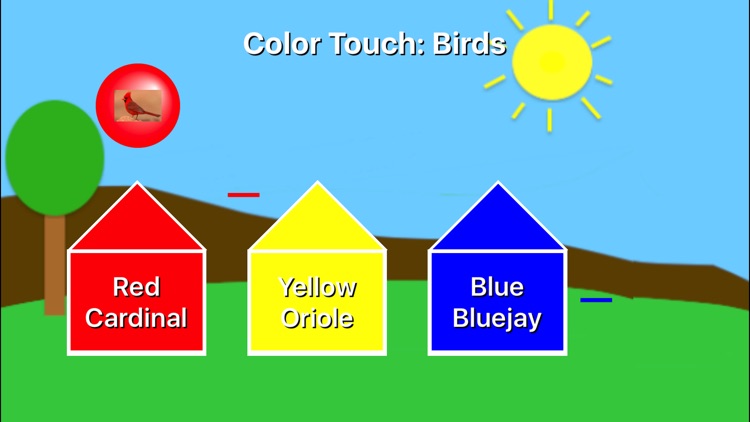 Color Touch: Birds