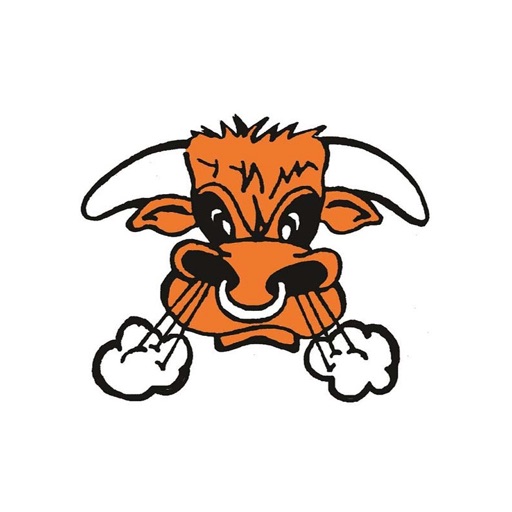 Schulenburg ISD by ClassLink, Inc