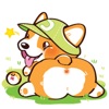 Super Cute Corgi Dog Sticker