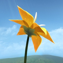 - 256x256bb - The Most Beautiful Games on iOS - photo Flower - 256x256bb - The Most Beautiful Games on iOS