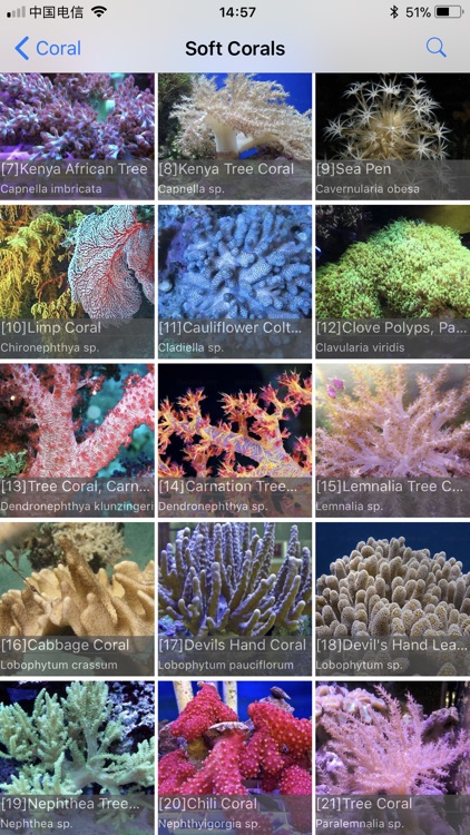Coral Reefs Bible screenshot-3