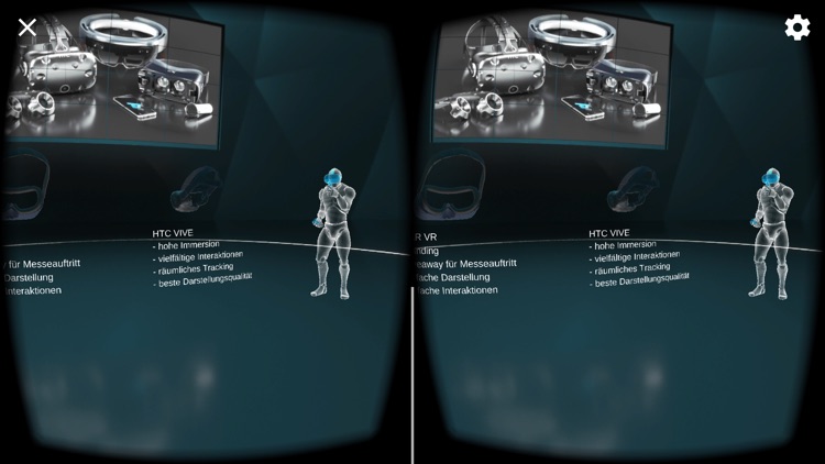 ThreeDee VR Experience