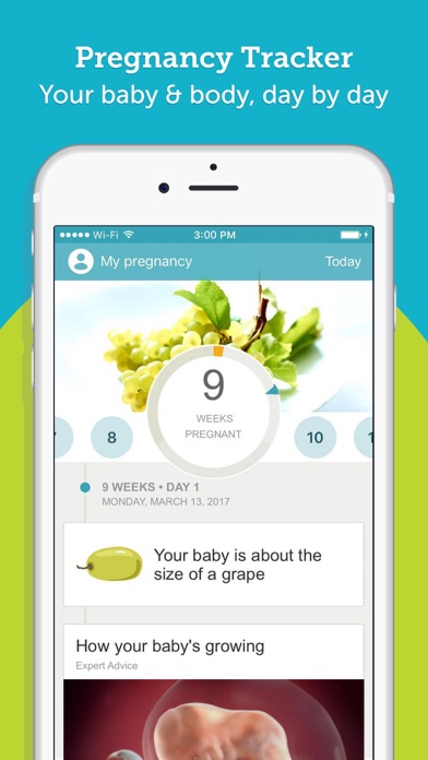 Pregnancy Tracker Babycenter Apprecs